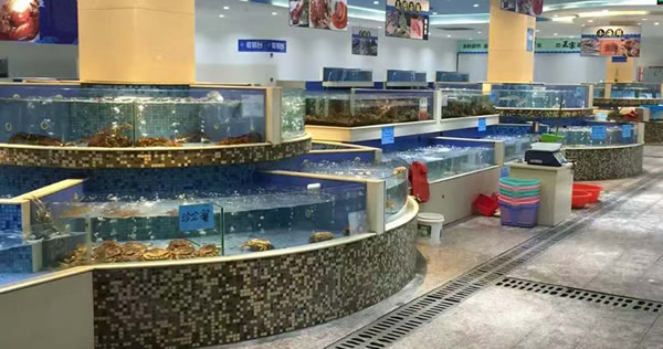 生活超市海鮮池18.jpg