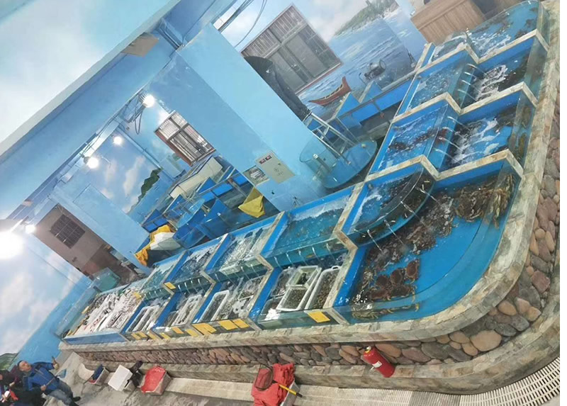 生活超市海鮮池6.jpg