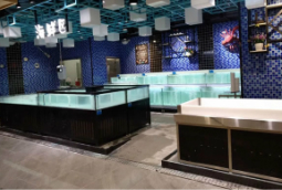 貝殼類蝦蟹類玻璃魚缸定做