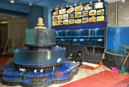 農(nóng)莊淡水魚池建造