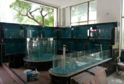 農(nóng)莊淡水魚池建造