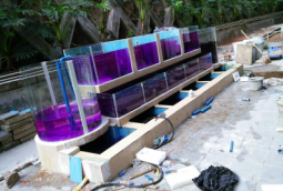 農(nóng)莊淡水魚池建造