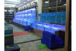 水產(chǎn)店活海鮮養(yǎng)殖魚池定做