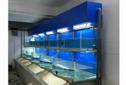 水產(chǎn)店活海鮮養(yǎng)殖魚池定做