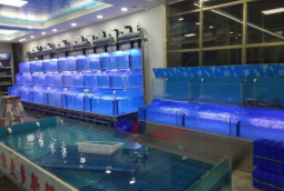 水產(chǎn)店活海鮮養(yǎng)殖魚池定做