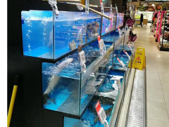 深圳海鮮池定做
